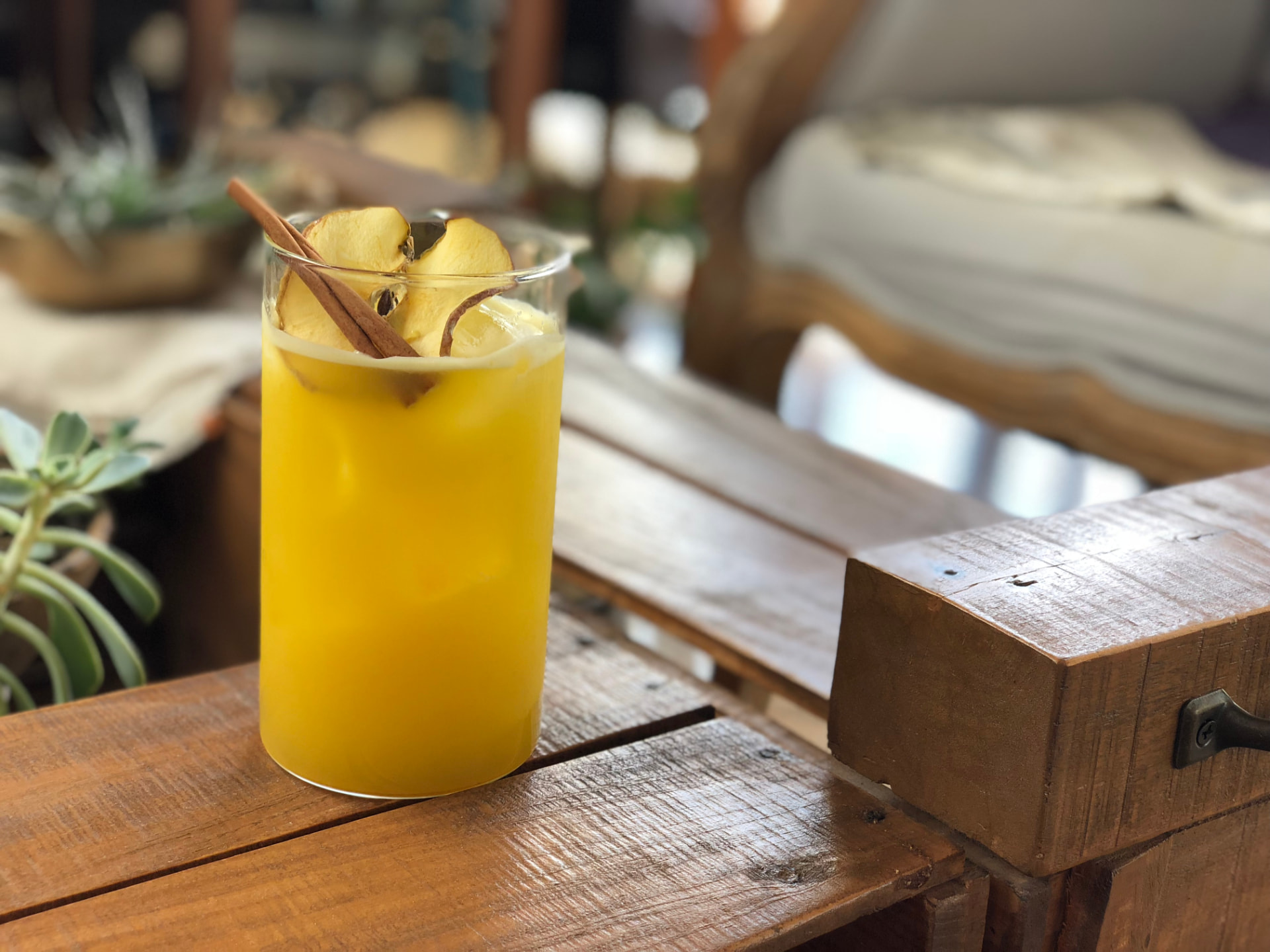 Cold-pressed apple juice in a tall glass with dried apple slices and cinnamon